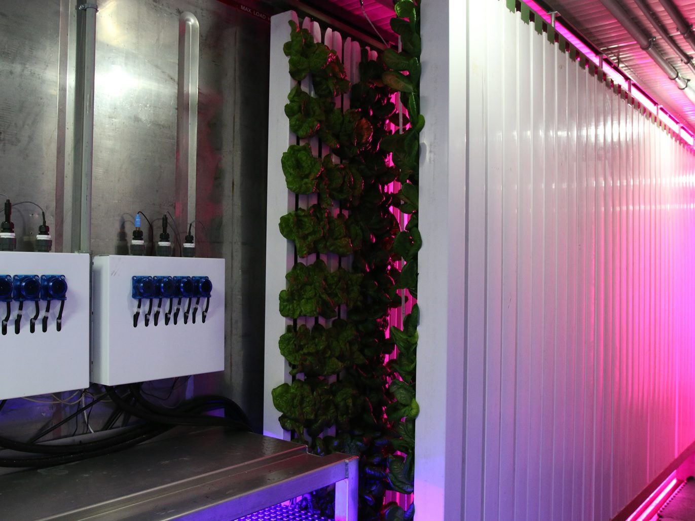 THE LEAFY GREEN MACHINE URBAN FARMING IN A SHIPPING CONTAINER